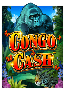 เรียนรู้วิธีเล่นเกมสล็อต เอเย น ufabet สุดสนุก